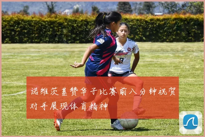 诺维茨基赞华子比赛前八分钟祝贺对手展现体育精神