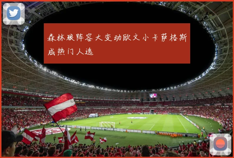 森林狼阵容大变动欧文小卡萨格斯成热门人选